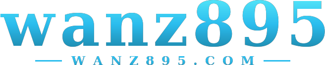 wanz895 logo